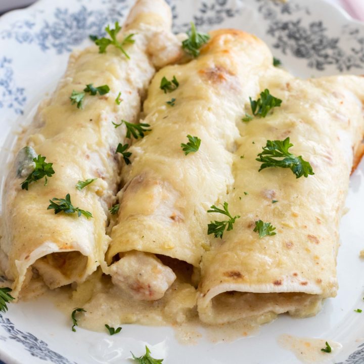 Low carb shrimp enchiladas in a homemade cheese sauce.
