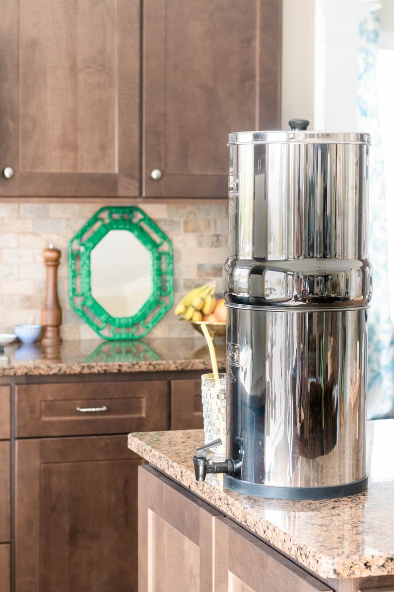 Berkey Water Filter Review: Is it right for you?