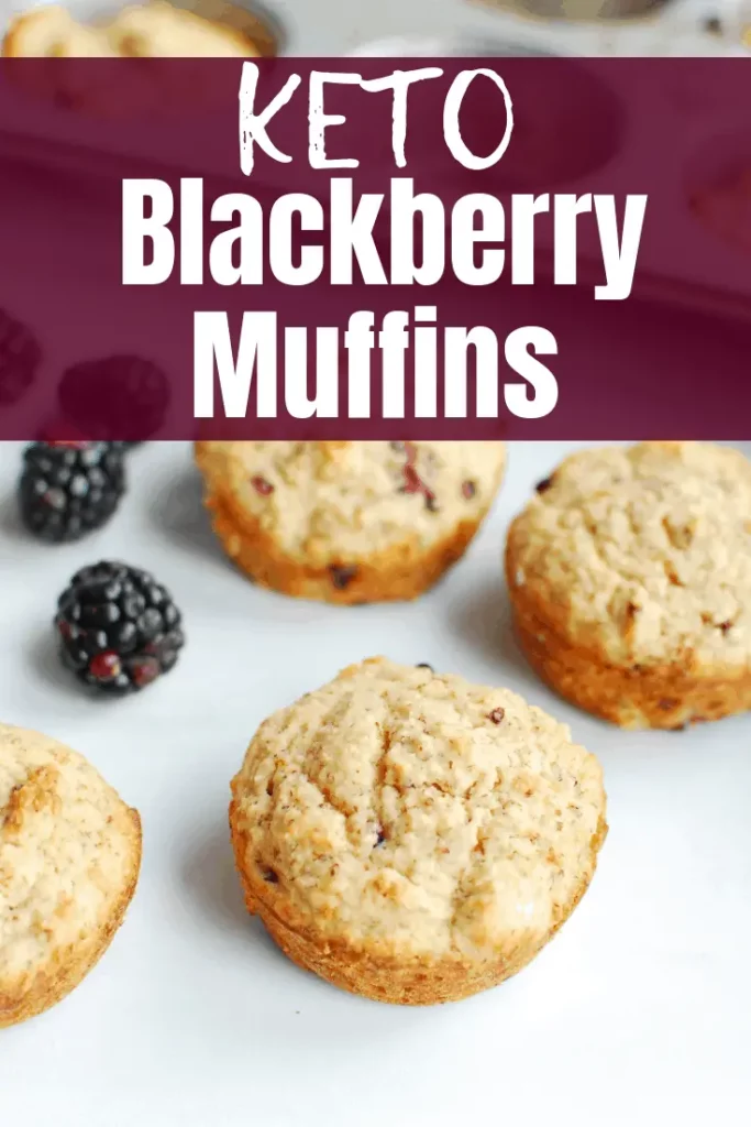 Blackberry Muffins Recipe close up view shot