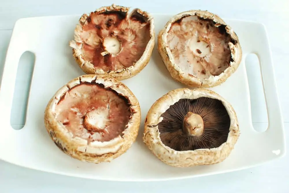 Stuffed Portobello Mushroom Recipe top shot